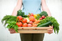 All local and organically grown fruits & vegetables in wooden vegetable crate held by a woman. Shallow dof, crisp focus across all the vegetables. Crate contains: peaches, green apple, peppers, green beans, rondelle carrots, baby carrots, zucchini squash, tomatoes, basil, fennel, kale, lettuce, broccoli, potatoes and radishes.