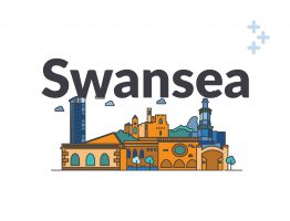 Swansea social care city skyline