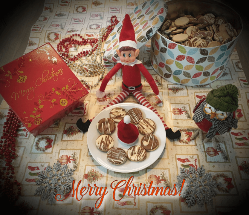Christmas cookie bake off